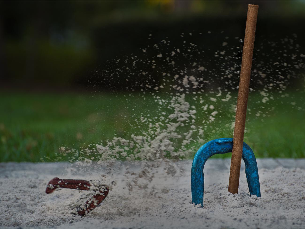 Horseshoes